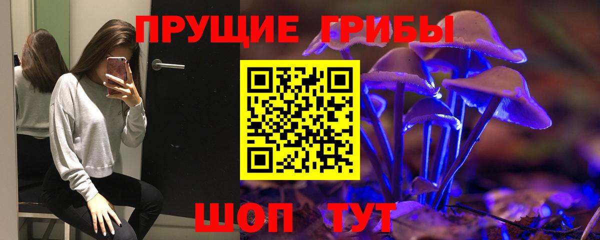 Галлюциногенные грибы Psilocybe  Вход с VPN  Камышин 