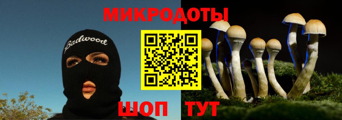 Псилоцибиновые грибы GOLDEN TEACHER Камышин