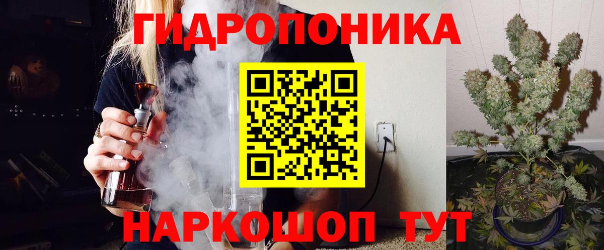 Конопля ГИДРОПОН  Бошки Шишки гибрид  Вход с VPN  Камышин  МАРИХУАНА Ganja 